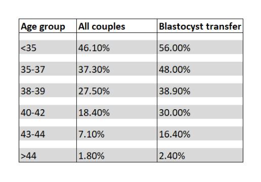 Blastocyst transfer all couples